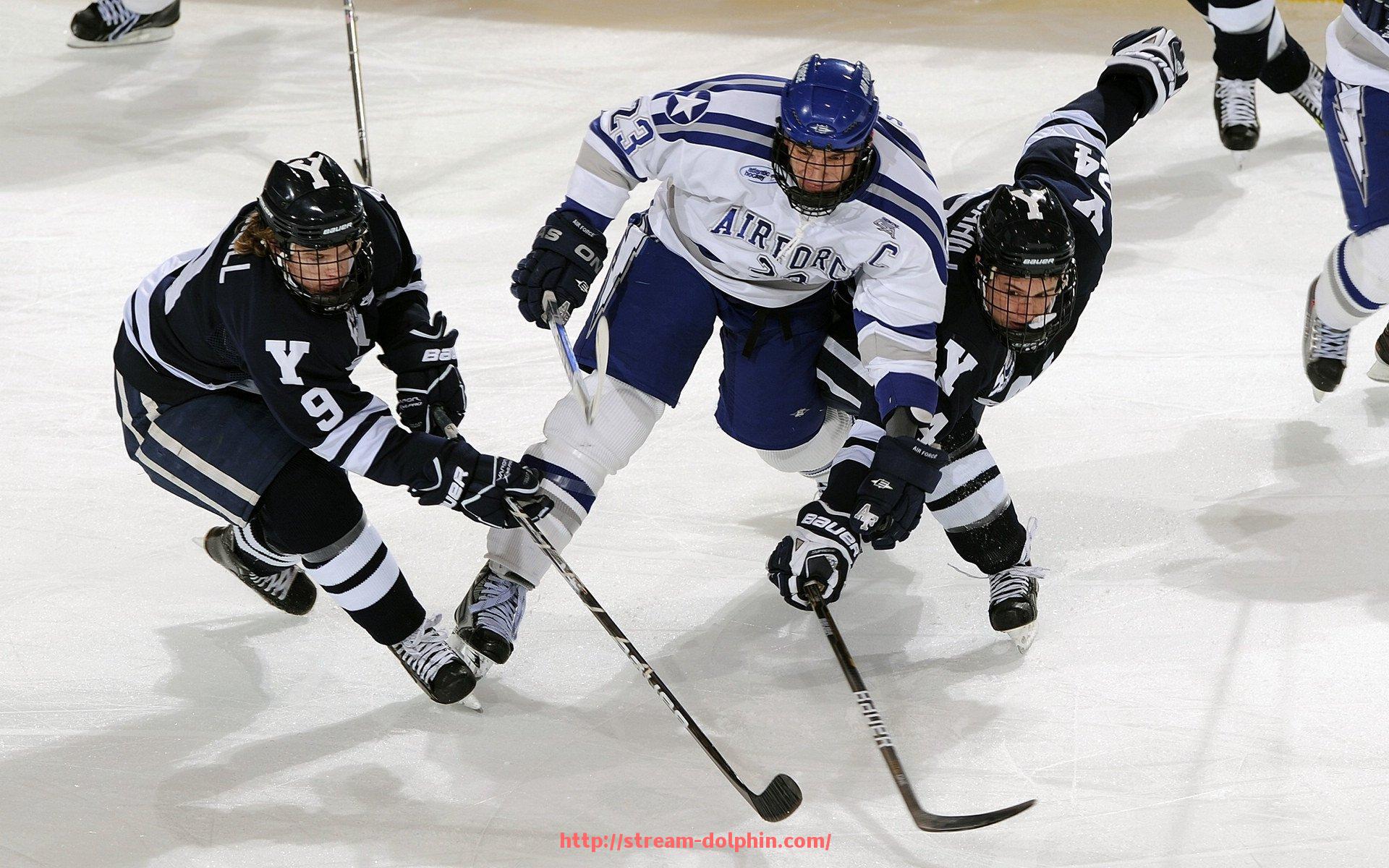 海豚直播-欧冠录像集锦精选与经典赛事回顾