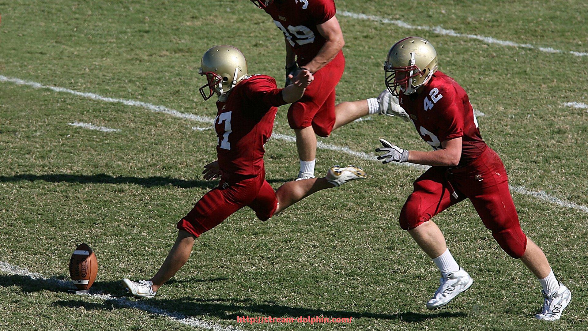 海豚直播-德甲联赛全称及主要俱乐部背景介绍，历史文化解析