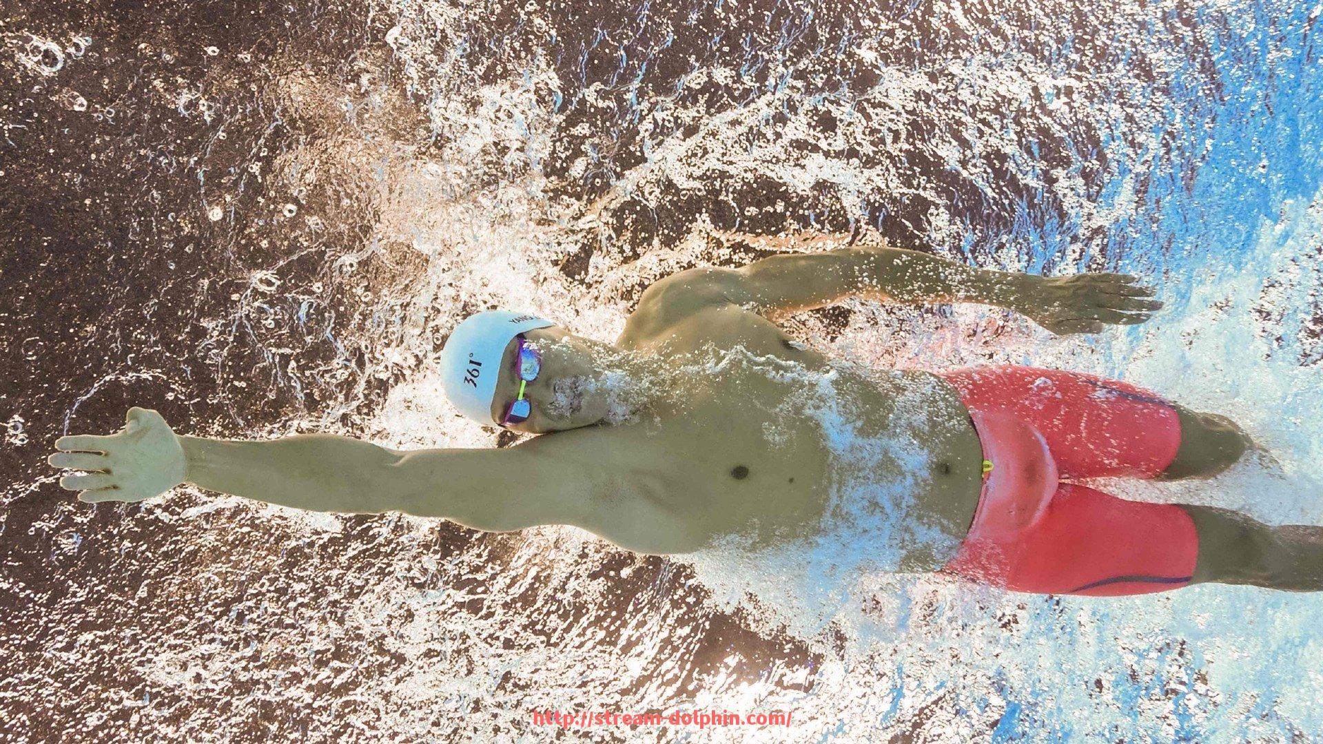 海豚直播-意甲联赛中“毛”是哪支球队的详细介绍