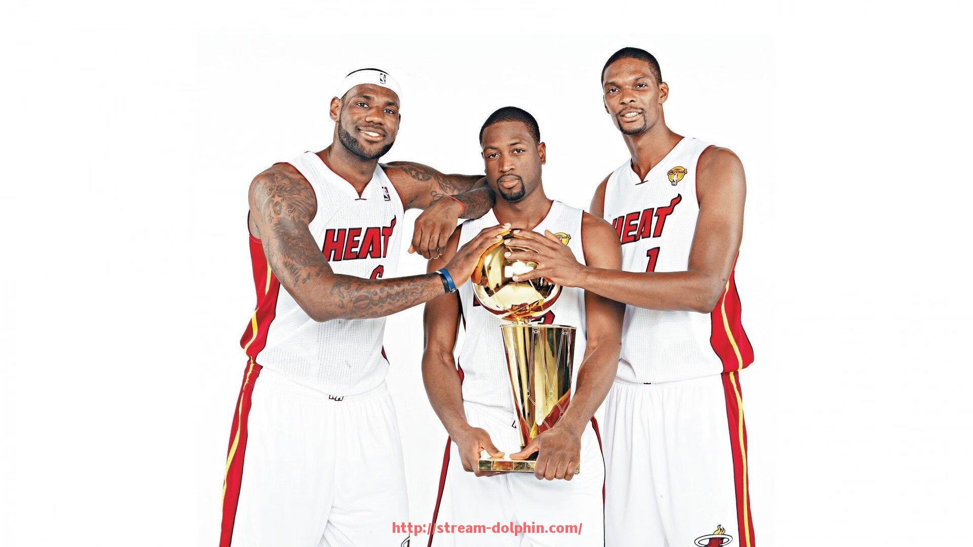 海豚直播-商用健身器材哪个好？性价比及市场口碑评测