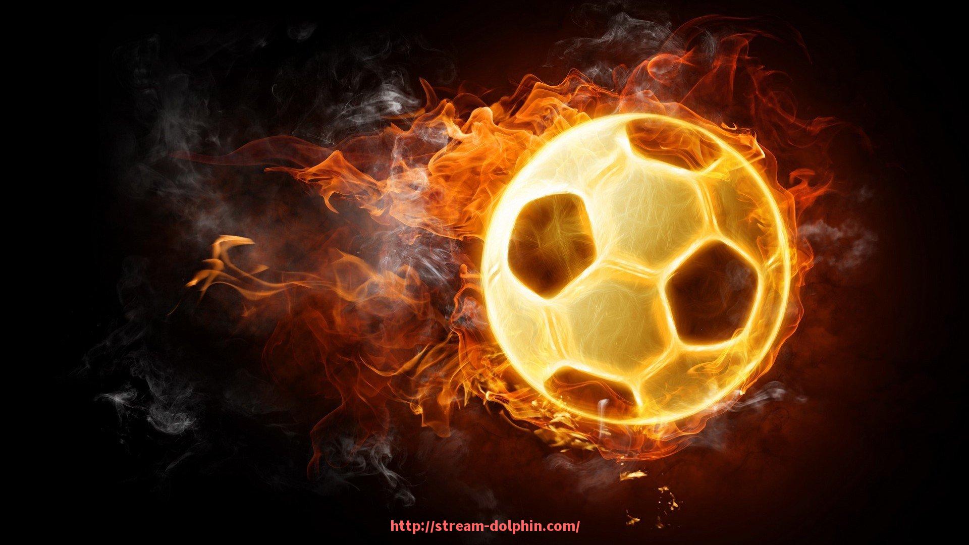 海豚直播-生态恢复典范：世俱杯主办城市生态修复关键项目盘点